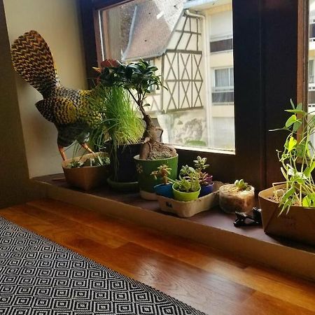 Cosy Apartment By The Magical Marais De Bourges Luaran gambar