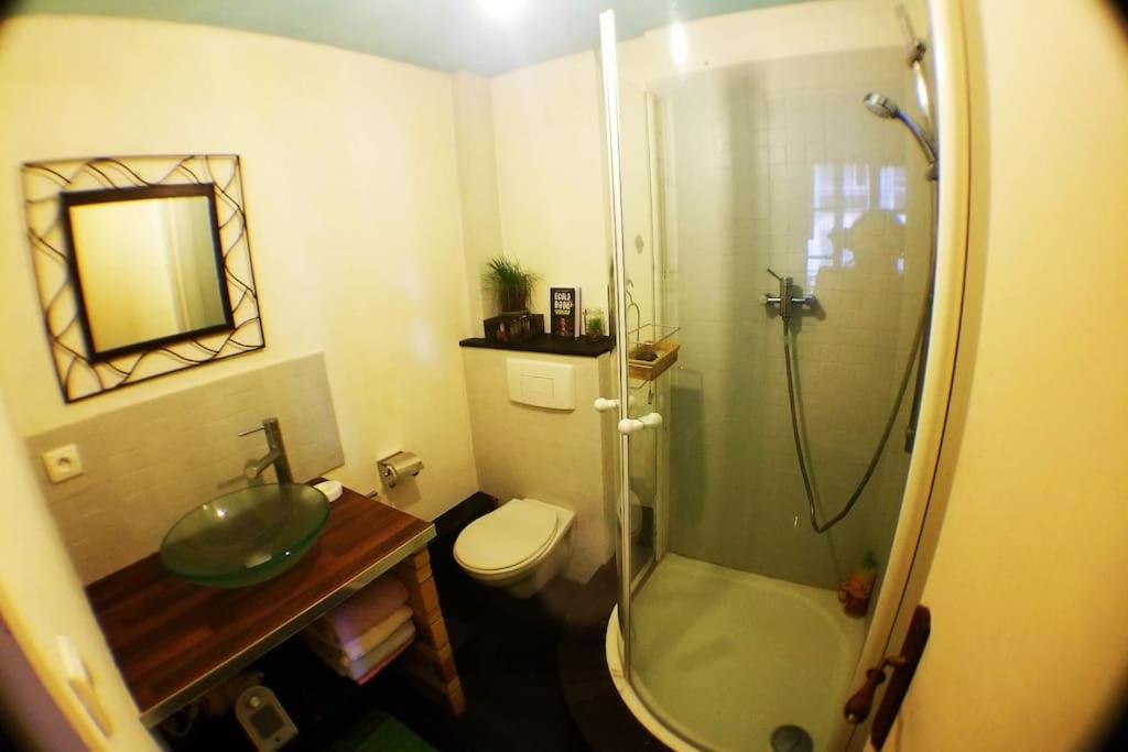 Cosy Apartment By The Magical Marais De Bourges Luaran gambar